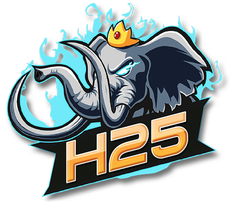 H25